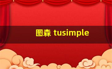 图森 tusimple